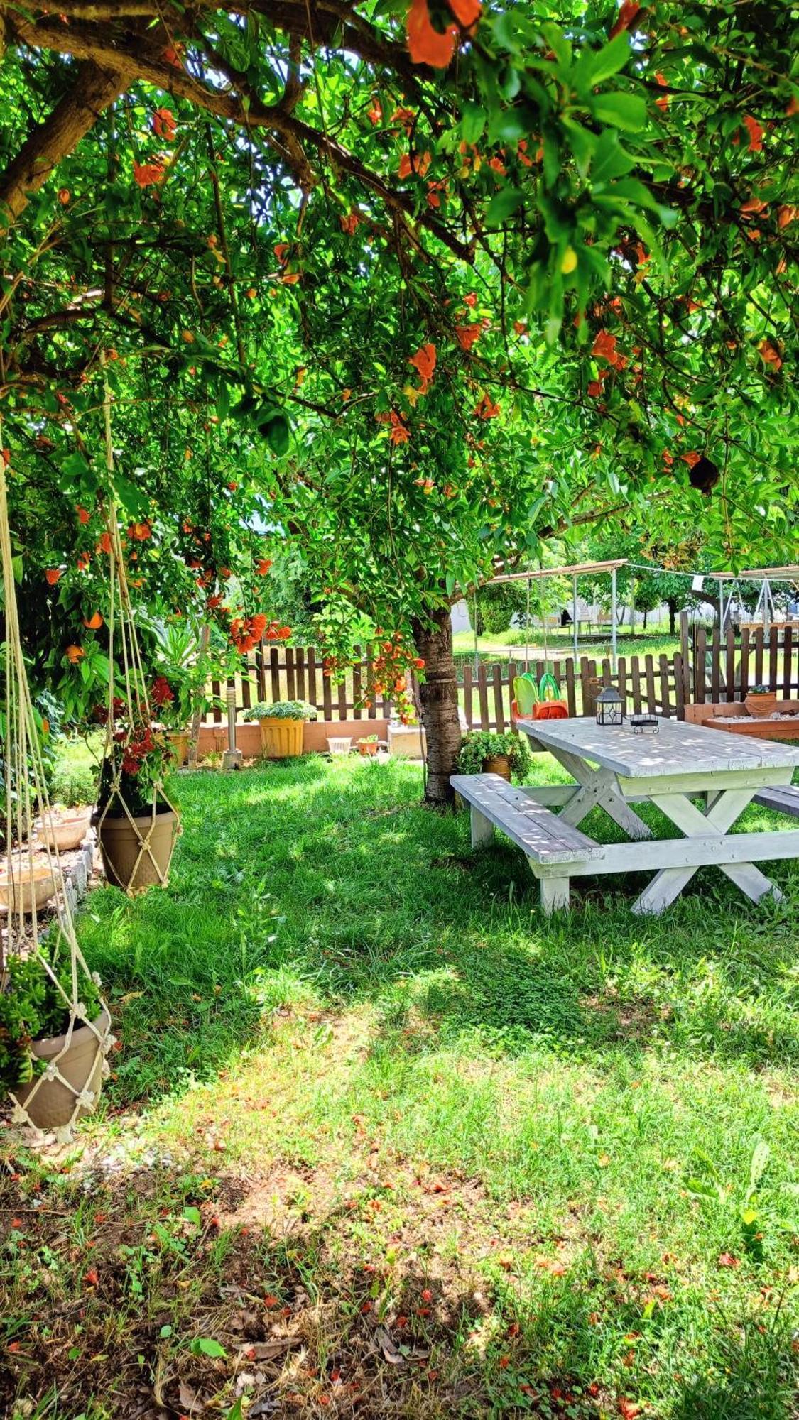 Garden House Katerina Aparthotel Leptokaryá Buitenkant foto