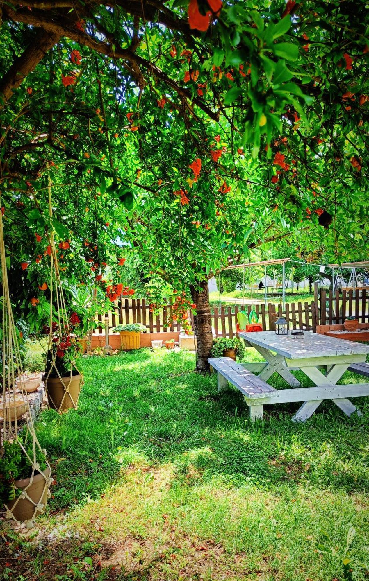 Garden House Katerina Aparthotel Leptokaryá Buitenkant foto